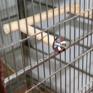 Close-up of a T-shaped wooden bird perch with metal screw attachment for a cage