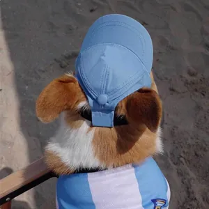 Berretto da baseball regolabile celeste con fori per orecchie per cani piccoli