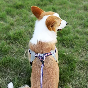 Reflektierendes Hundegeschirr und Leine Set im Westendesign mit Streifen für Hunde