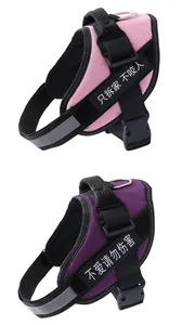 Detail von reflektierenden Hundegeschirren in Pink und Violett mit Patches