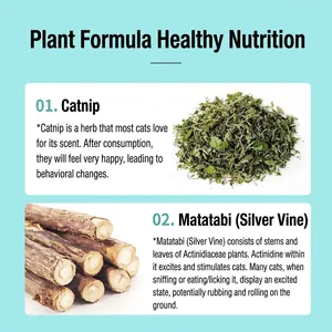 Natural dried catnip and silver vine sticks pet treats for cat dental health and play