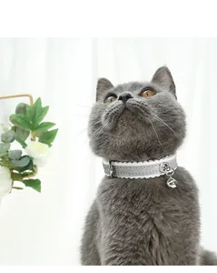 Vista detallada de un collar para gatos plateado brillante con cascabel en un gato