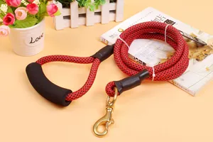 Detail of red and black braided dog leash with heavy-duty brass clip and foam handle