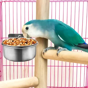 Stainless steel bird feeder bowl for parrots hanging in a cage with bird