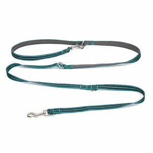 Durable teal multi-functional hands-free dog leash with dual metal clips and D-rings