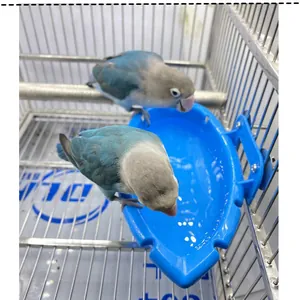 Detailansicht der blauen Vogelbadewanne für Papageien im Metallkäfig
