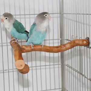 Naturholz-Sitzstange für Papageien für kleine und mittelgroße Vogelkäfige mit Vögeln