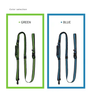 Reflective retractable multi-functional dog leash for large dogs in green and blue