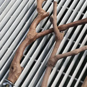 Set di posatoi naturali in rami di vite con fissaggio a vite in metallo per uccelli.