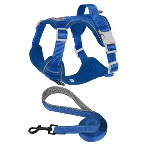 Set of blue reflective dog harness and matching leash with breathable mesh detail