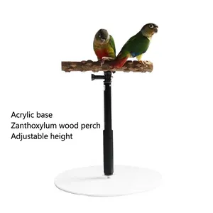 Adjustable telescopic parrot stand with natural prickly ash wood perch and acrylic base