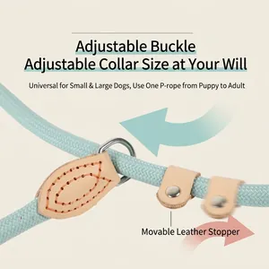 Adjustable light blue P-chain dog leash with movable leather limit buckle detail