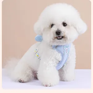 Détail d'un chien Bichon blanc portant un harnais bleu clair avec un nœud papillon.