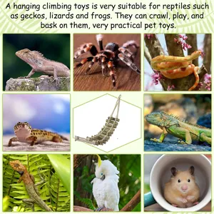 Échelle à grimper en bambou pour reptiles et petits animaux comme lézards et hamsters