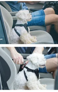 Detailed view of an adjustable black dog car safety belt being fastened in a vehicle
