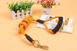 Close-up of durable braided dog leash with padded foam handle and golden metal clip.