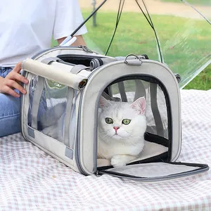 Portable foldable cat carrier bag with mesh windows for travel and outdoor use.