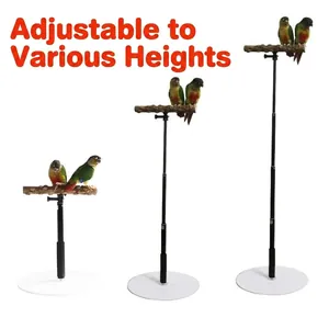 Height adjustable parrot stand featuring natural wood perch and sturdy stable base