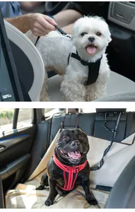 Durable adjustable dog car seat belt leash and safety harness for pet vehicle travel