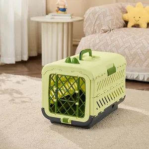 Foldable light green pet carrier showing durable handle and side ventilation details