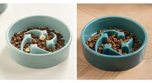 Détail d'une gamelle lente en céramique pour animaux avec design météore anti-étouffement