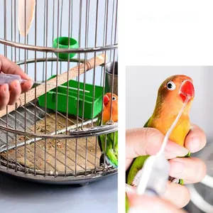 Λεπτομερής άποψη σύριγγας ταΐσματος παπαγάλων με το χέρι ενώ ταΐζει ένα μικρό πουλί
