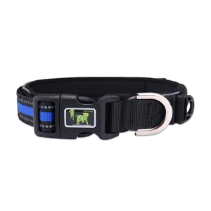 Detail of black reflective pet collar with blue stripe and heavy-duty buckle.