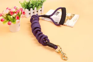 Durable braided dog leash with comfortable foam handle and heavy-duty brass hook buckle