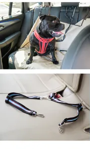 Close-up detail of adjustable double dog car seat belt for pet travel safety in vehicle
