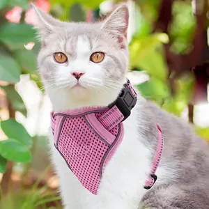 Harnais et Laisse pour Chat en Maille Réfléchissante Ensemble Respirant Réglable Veste pour Petits Chiens Animaux Anti-Évasion