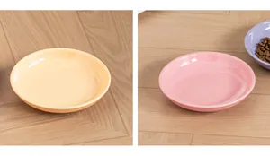 Vue détaillée d'assiettes colorées en céramique de 6 pouces pour animaux en rose et jaune