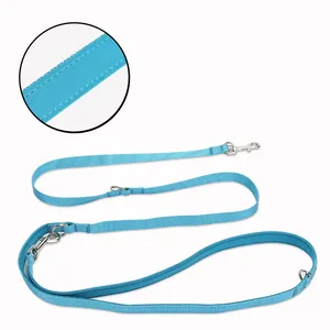 Macro view of high-quality stitching and durable blue nylon webbing of dog leash