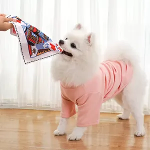 Cane Pomerania bianco che morde giocattolo stropicciato a tema carte con maglia