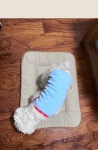 Small white dog resting on a beige anti-hair pet cooling mat on a wooden floor.