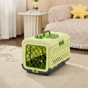 Foldable green pet travel crate placed on a cozy carpet in a living room setting