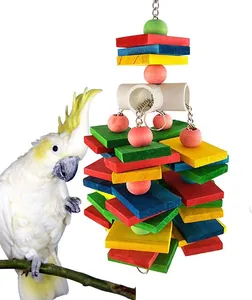 Détail de jouet à mâcher coloré en bois pour perroquet avec chaîne de suspension
