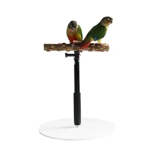 Portable bird perch stand with natural prickly ash wood branch and telescopic pole