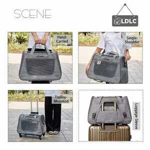 Multi-functional grey 4-in-1 pet carrier trolley bag for cats and dogs in outdoor scenes