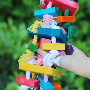 Détails des blocs en bois colorés et des cordes en coton naturel d'un jouet pour perroquet