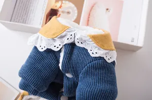 Gros plan sur un manteau bleu pour chien avec dentelle blanche et col Claudine jaune