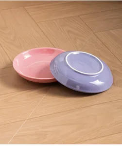 Vue détaillée de l'assiette en céramique rose et violette pour animaux, 15 cm de large