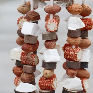 Close-up of natural bird toy materials including cuttlebone, corn cob, and wood.