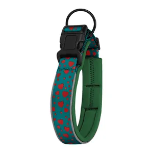 Détail d'un collier pour chien sarcelle avec motifs de coeurs rouges et boucle noire