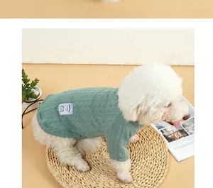 Makroansicht eines weißen Welpen mit einem warmen mintgrünen Strickpullover auf einer Matte
