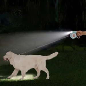 Retractable pet leash with integrated LED light for safe night walking with dogs