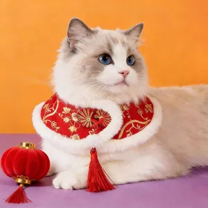 Nahaufnahme einer Katze mit einem roten festlichen Neujahrs-Umhang mit Pelzbesatz