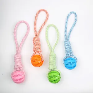 Detailed view of four colorful dog chew rope knot toys for molar teeth cleaning