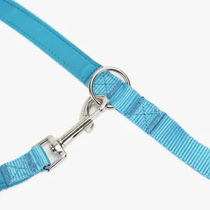 Detail view of heavy-duty metal snap hook and D-ring on blue pet leash webbing.