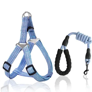 Blue braided adjustable dog harness and leash set for medium large dogs