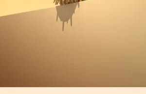 Detailed macro shot showing the shadow cast by a pet massage bath brush on a wall